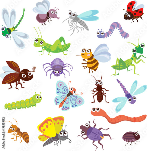 funny bugs and other insects, pattern, bugs, various poses and situations, drawing, vector, images, cartoon © gjan62