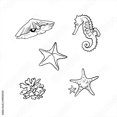 set of sea stars with a seahorse and pearl
