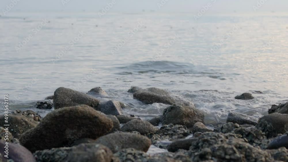 Closeup of rocky beach in the morning Closeup of rocky beach in the morning