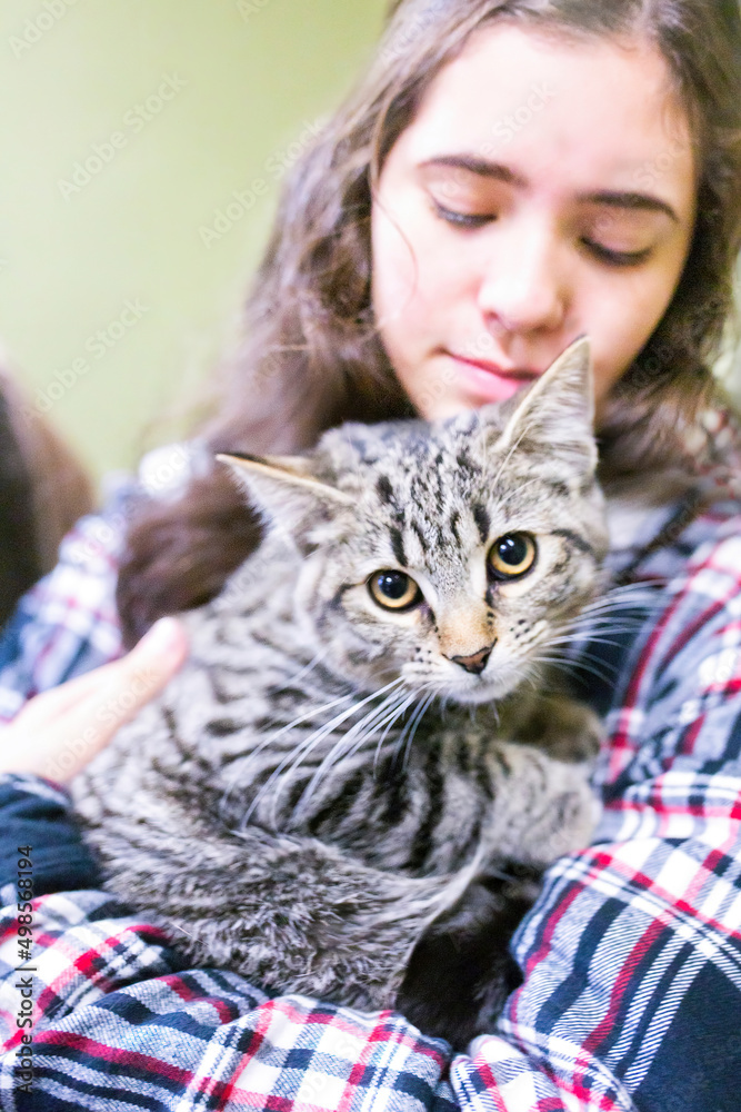 Tabby Cat held by Brunette Teen looks at Camera with Yellow Eyes