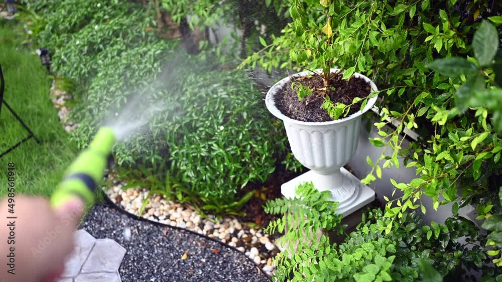 Gardener with watering hose and sprayer water on the garden hose on hot and summer evening,selective focus