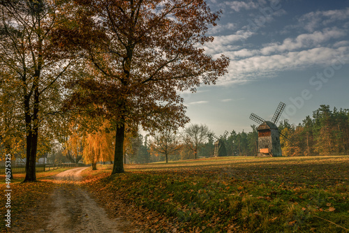 Obrazy krajobraz Polski  jesien-w-olsztynku-wiatraki