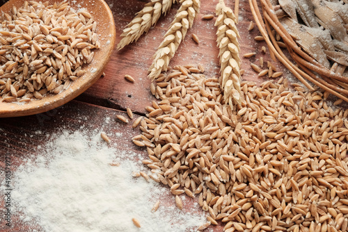 wheat grain and wheat