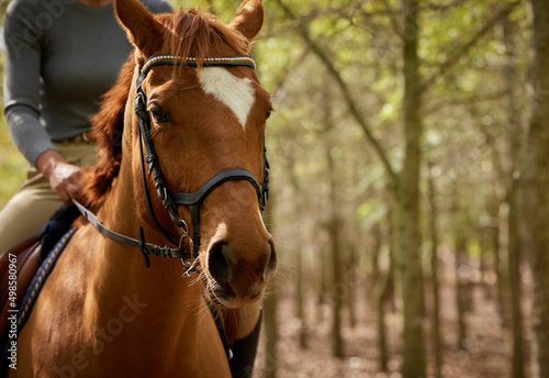 Its the perfect day for a ride through the forest. Cropped shot of an unrecognisable woman horseback riding in the forest during the day. © Nina L/peopleimages.com
