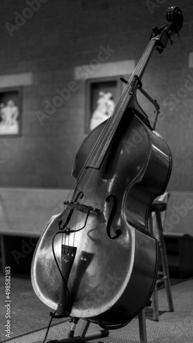 Vertical grayscale shot of a cello on a stand photo