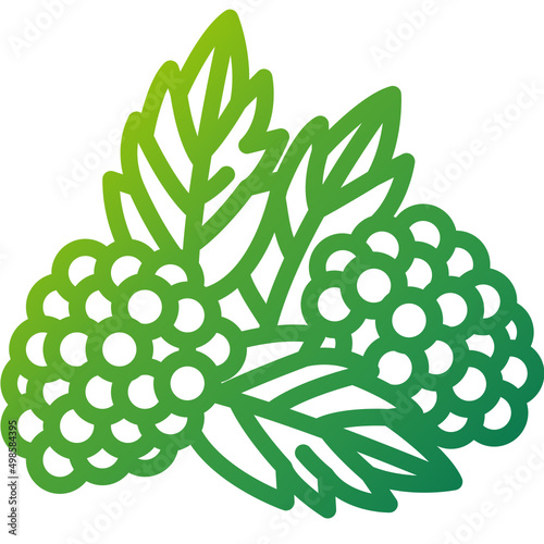 Blackberry gradient icon