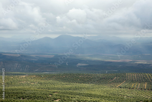 Beautiful country landscape with gray cloudy sky. Green fields planted with olive trees. Province of Jaén, Spain.