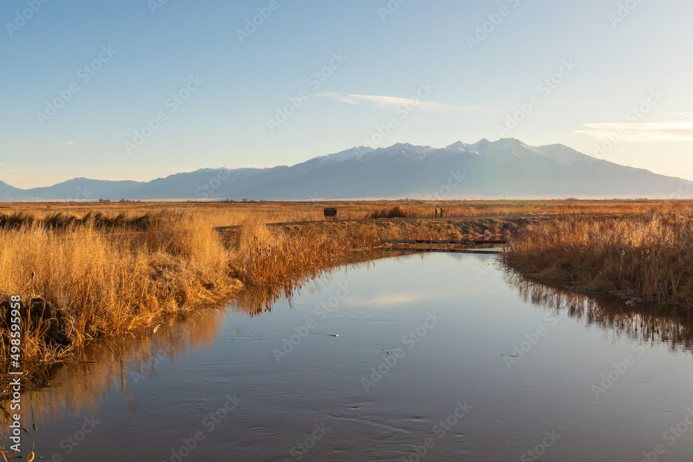 Early Spring in Alamosa National Wildlife Refuge, Southern Colorado