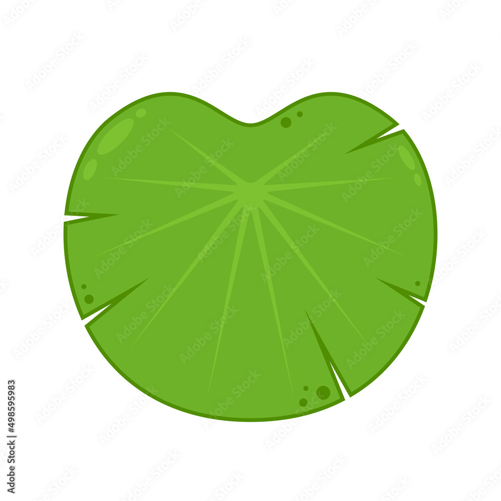 Fotografia Lily pad vector. Lily cartoon vector on white background.