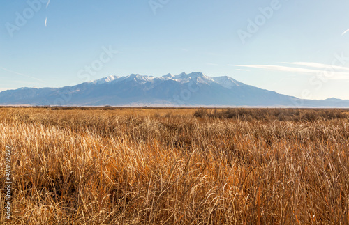 Early Spring in Alamosa National Wildlife Refuge, Southern Colorado photo