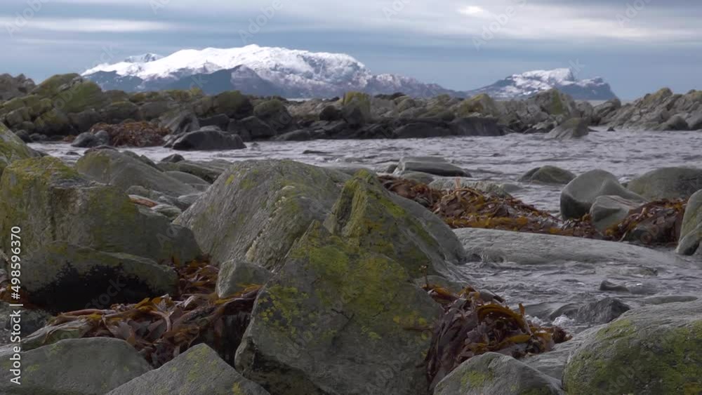 Rocky shoreline. Low angle of weed and rock with Runde Island Rocky shoreline. Low angle of weed and rock with Runde Island