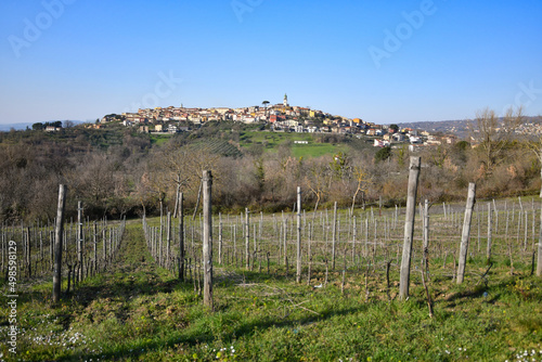 View from a vineyard to the small village Fontanarosa in the province of Avellino, Italy.