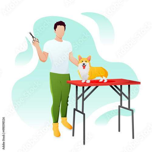groomer guy cuts a beautiful corgi dog. vector backgroun