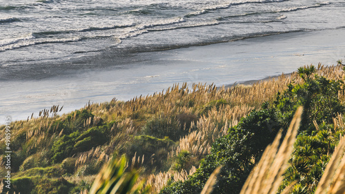 Beautiful landscape of the plants on the cliffs and seascape at Ngarunui Beach, Raglan, New Zealand photo