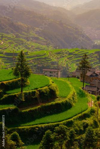 Beautiful shot of green landscape with trees and grass in Shuanghe Caves, Qingyan Town, China photo