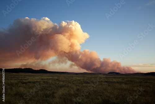 Fotografija Closeup shot of wildfire smoke