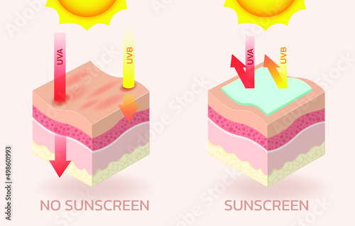 skin concerning the use of sunscreen.vector for sunscreen advertising.summer protection cream