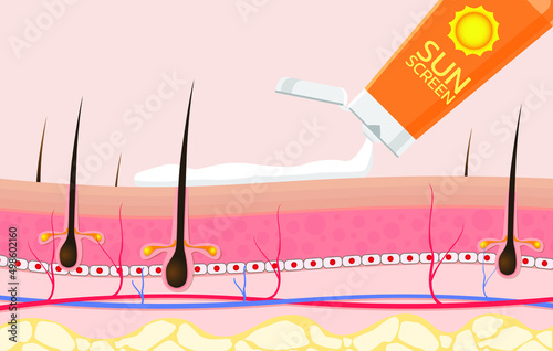 skin concerning the use of sunscreen.vector for sunscreen advertising.summer protection cream