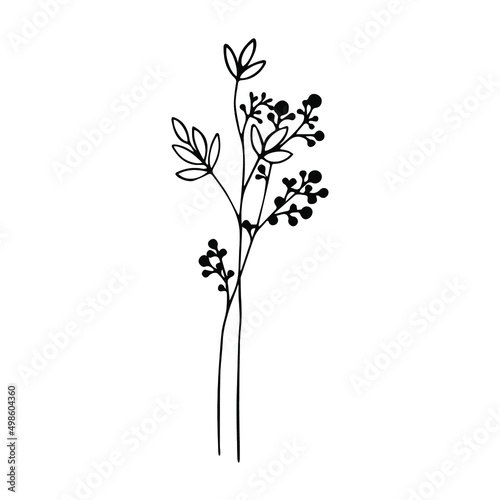 Fototapeta Naklejka Na Ścianę i Meble -  Branch on a white background. Twig-Doodle style. Vector isolated illustration with leaves. Printing on paper, fabrics, dishes, posters, mugs. Leaves are a separate element. Hand drawing. Nature.
