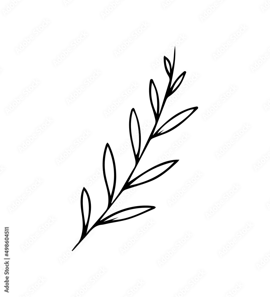 Branch on a white background. Twig-Doodle style. Vector isolated illustration with leaves. Printing on paper, fabrics, dishes, posters, mugs. Leaves are a separate element. Hand drawing. Nature. Branch on a white background. Twig-Doodle style. Vector isolated illustration with leaves. Printing on paper, fabrics, dishes, posters, mugs. Leaves are a separate element. Hand drawing. Nature.