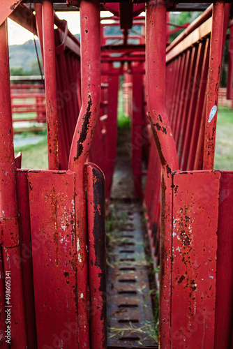 Closeup of Red colored Cattle squeeze chute on farm in Texas photo