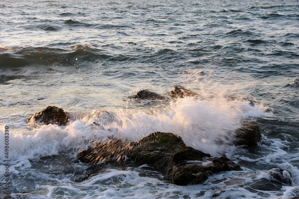 Naklejka premium Mediterranean coast in southern Israel near the city of Ashkelon