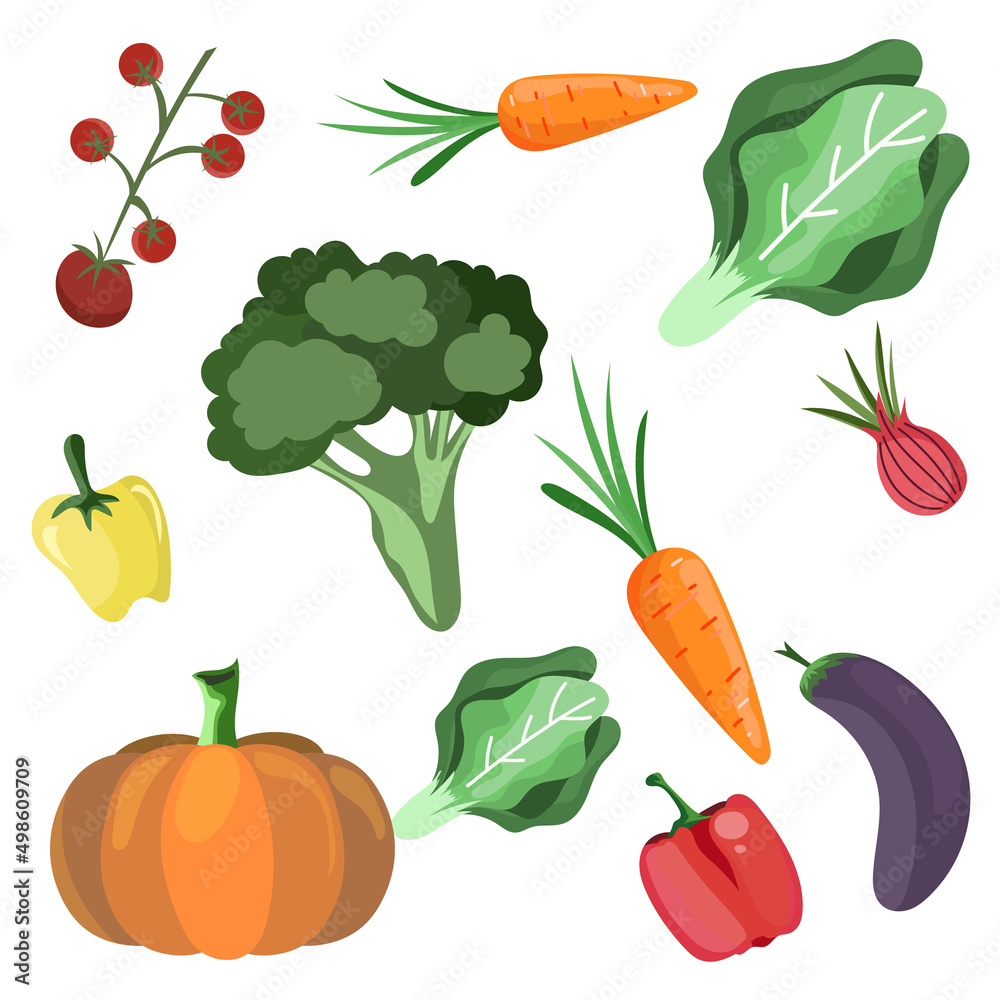 various kinds of vegetables vector .isolated on white background ,Vector illustration EPS 10 various kinds of vegetables vector .isolated on white background ,Vector illustration EPS 10