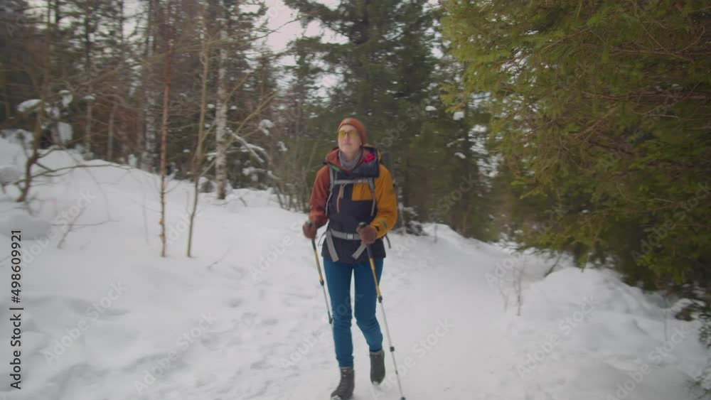 Tilt down wide shot of female tourist with backpack and trekking poles walking through mountain forest while hiking in winter Tilt down wide shot of female tourist with backpack and trekking poles walking through mountain forest while hiking in winter