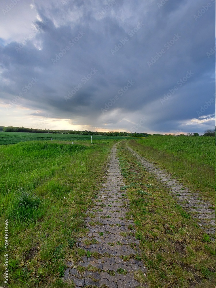 road in the field