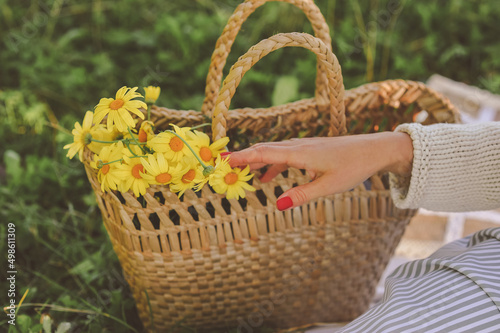 Womans hand with red manicure touching the bouquet of yellow daisies in straw bag on nature background. Summer concept