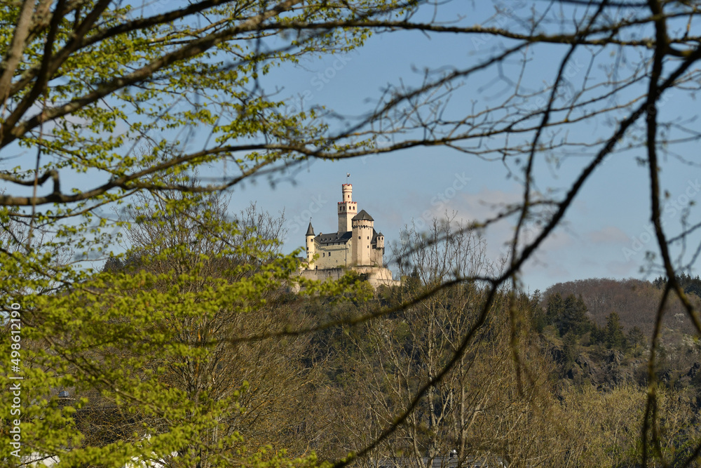 castle on a hill rhine valley view through leaves  