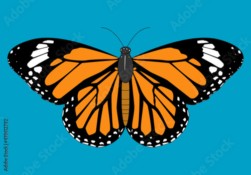 Mariposa monarca naranja, negra y blanca sobre cielo azul