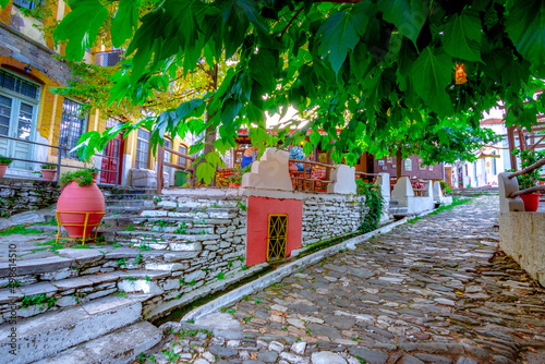 Fototapeta Naklejka Na Ścianę i Meble -  Traditional greek village of Makrinitsa on Pelion mountain in central Greece. 