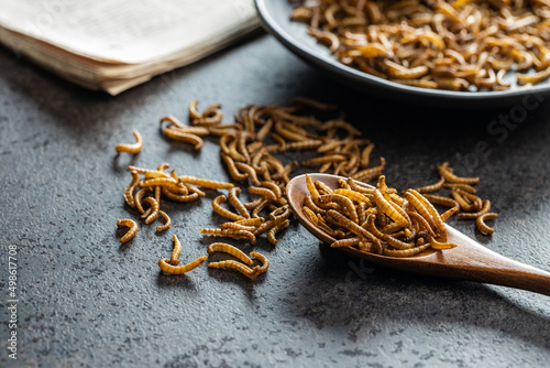 Fried salty worms. Roasted mealworms on wooden spoon. © Jiri Hera