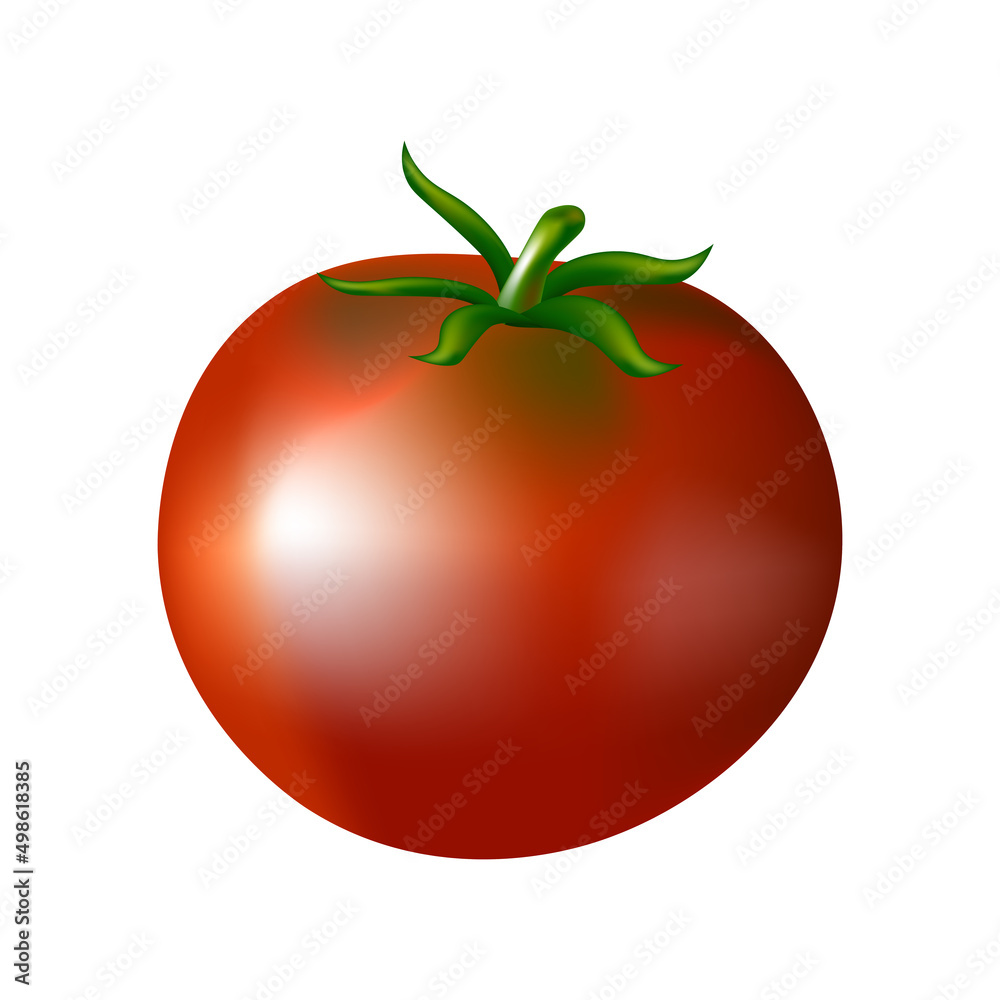 Realistic vector tomato, 3d illustration isolated on white background. Vegetables vector, natural vegetables, harvest. Realistic vector tomato, 3d illustration isolated on white background. Vegetables vector, natural vegetables, harvest.