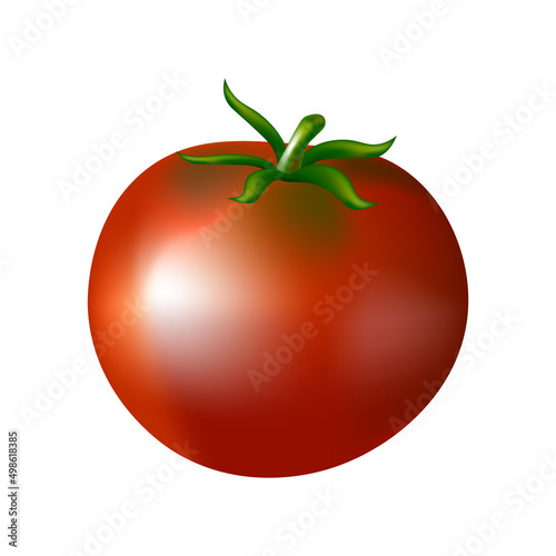 Realistic vector tomato, 3d illustration isolated on white background. Vegetables vector, natural vegetables, harvest.