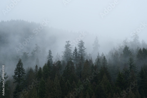 Fototapeta Naklejka Na Ścianę i Meble -  fog in the mountains