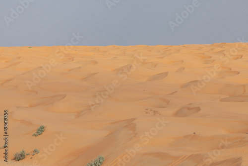 sand dunes in the desert in Oman