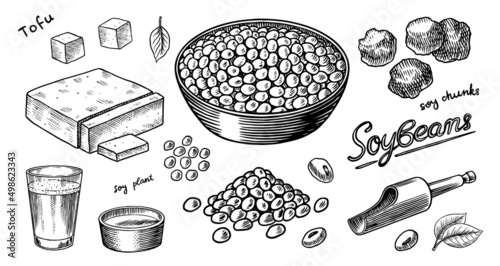 Soya beans. Milk and tofu. Soybean sketch. Pod on plant. Nuts and seeds in sack. Detailed vegetarian food and leaves drawing. hand drawn illustration for menu, label, icon or poster.