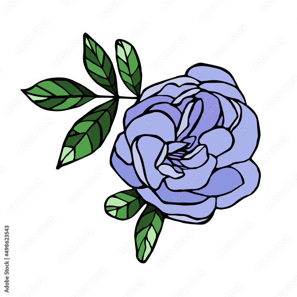 Obraz premium Vector ink blooming violet rose