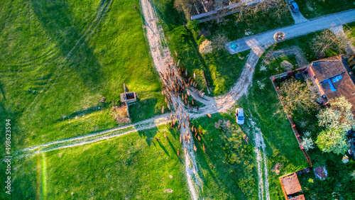  View of the horses from the sky