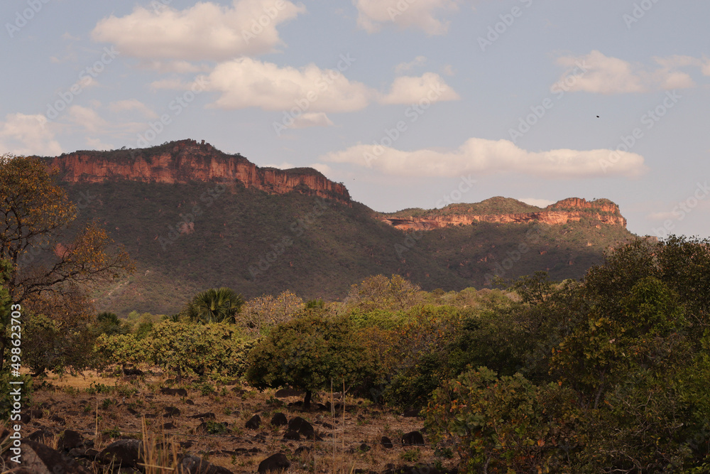 Fototapeta premium grand canyon state