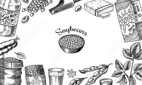Soya beans. Milk and tofu. Soybean sketch. Pod on plant. Nuts and seeds in sack. Detailed vegetarian food and leaves drawing. hand drawn illustration for menu, label, icon or poster.