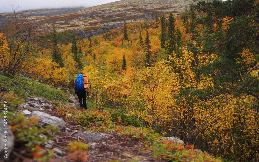 A young woman with a backpack and trekking poles in the Khibiny mountains. The concept of a healthy and active lifestyle. Girl on the background of nature mountains.