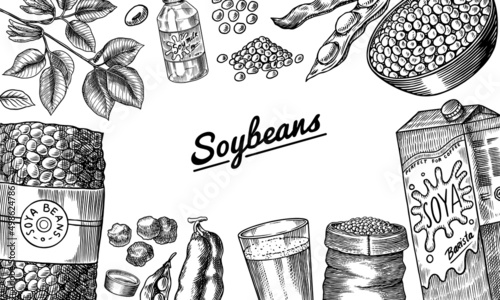 Soya beans. Milk and tofu. Soybean sketch. Pod on plant. Nuts and seeds in sack. Detailed vegetarian food and leaves drawing. hand drawn illustration for menu, label, icon or poster.