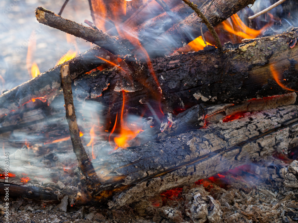 bonfire in the evening summer forest