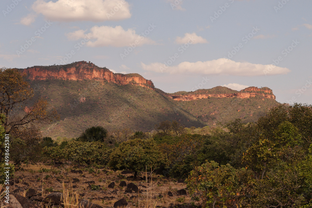 Fototapeta premium grand canyon national park