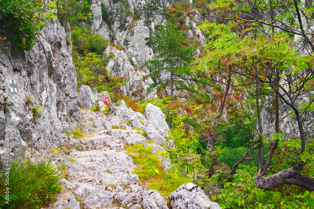 Tesnei Gorges in the protected area of Herculane, Romania, Europe Tesnei Gorges in the protected area of Herculane, Romania, Europe