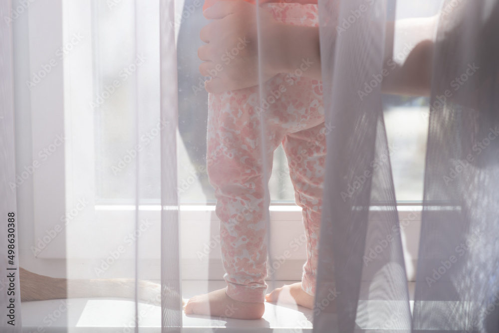 baby girl stands on the windowsill behind the curtain, mother holds child at sunny day, home window background - obrazy, fototapety, plakaty 
