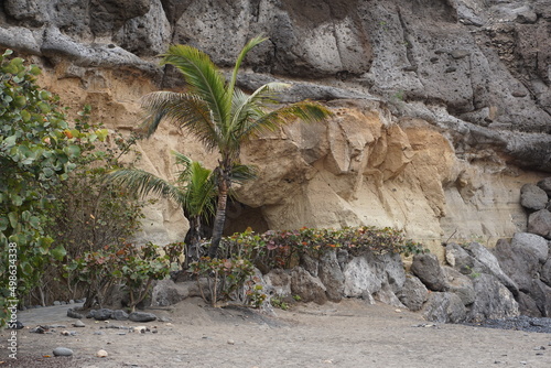 Volcanic rocks on PLaya las galgas, Playa Paraiso, Tenerife, March 2022